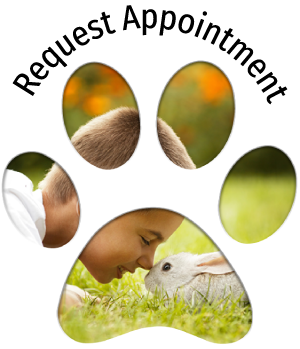 Veterinarian in Lancaster NY - Mobile
