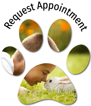 Veterinarian in Lancaster NY 